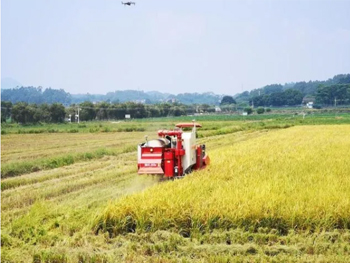 農(nóng)機 安徽懷寧農(nóng)業(yè)生產(chǎn)的“主力軍”